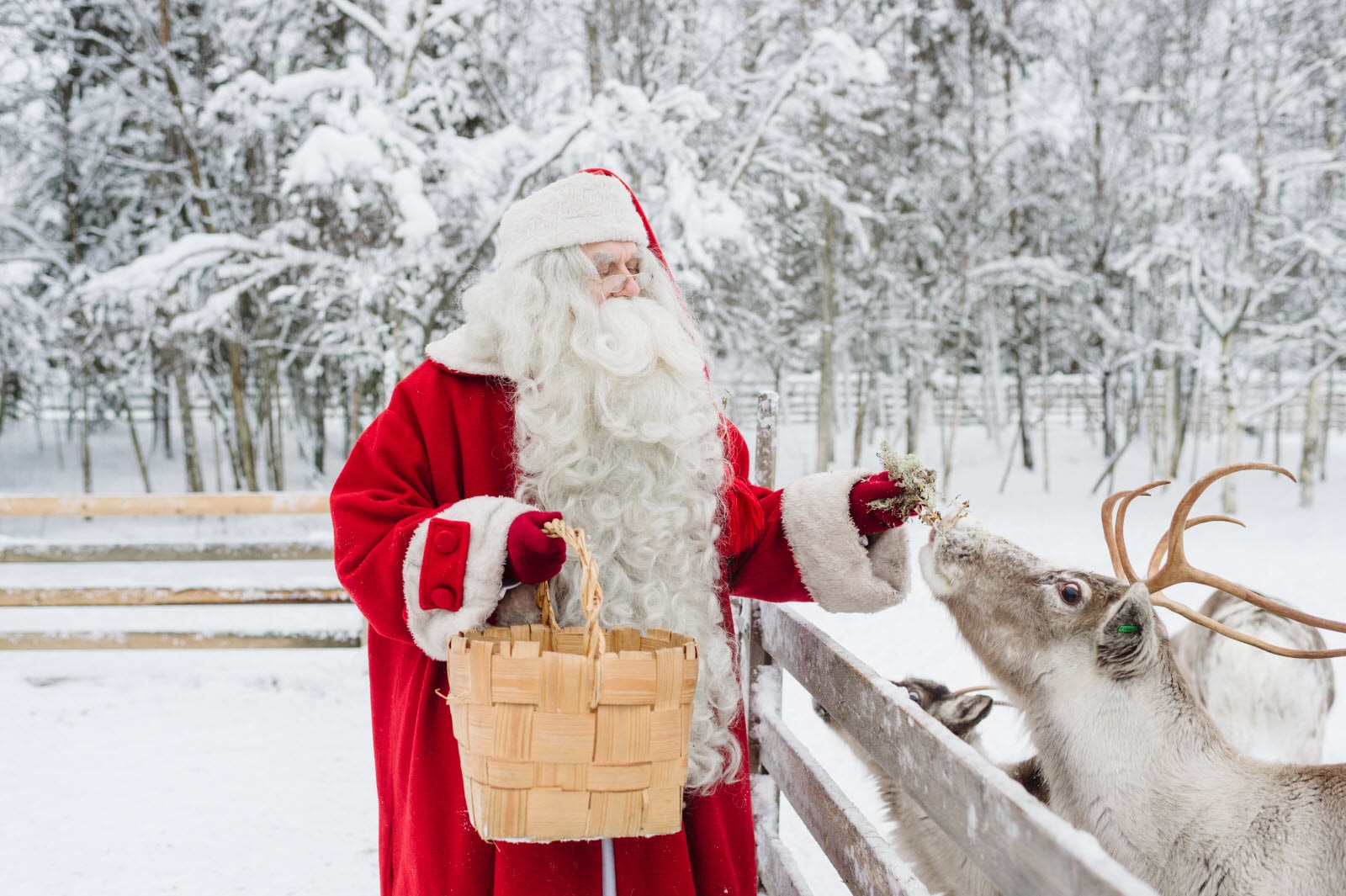 Weihnachten feiern wie in Finnland Scandic Hotels