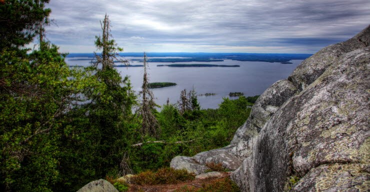 Koli, Bildrechte Visit Finnland/Seppo Rinta-Kauppila